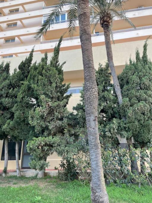 Apartamento Klimatyczny Loft I Egzotyczny Basen Benalmádena Exterior foto