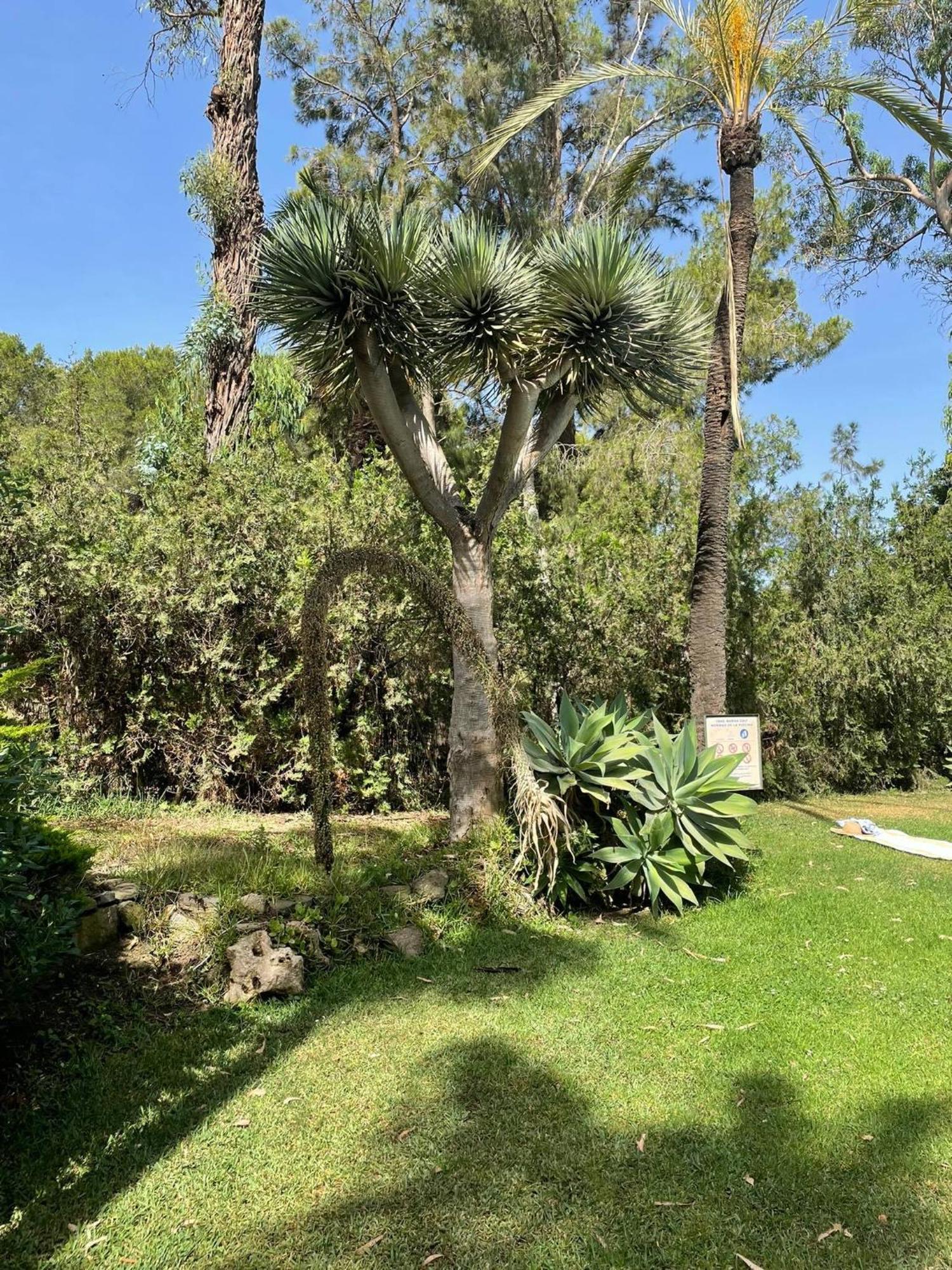 Apartamento Klimatyczny Loft I Egzotyczny Basen Benalmádena Exterior foto